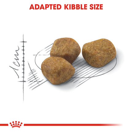 Royal Canin - Fit Adult Cat Dry Food (4kg)