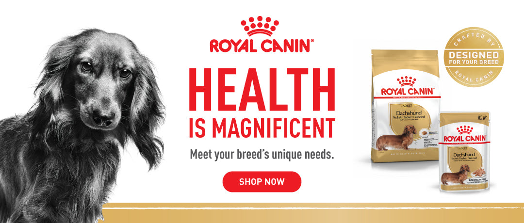 Royal Canin breed specific: Meet your breed's unique needs.