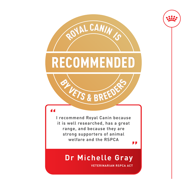 Royal Canin - Urinary Care Adult Cat Dry Food (4kg)