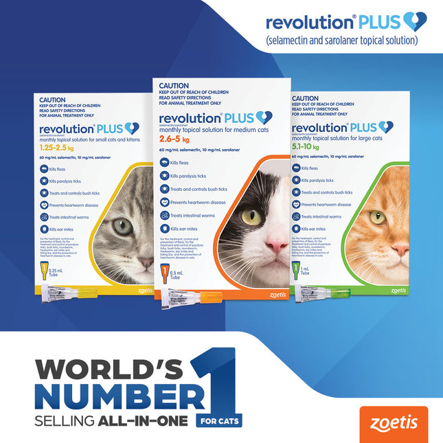 Revolution Plus - Medium Cat (3pk)