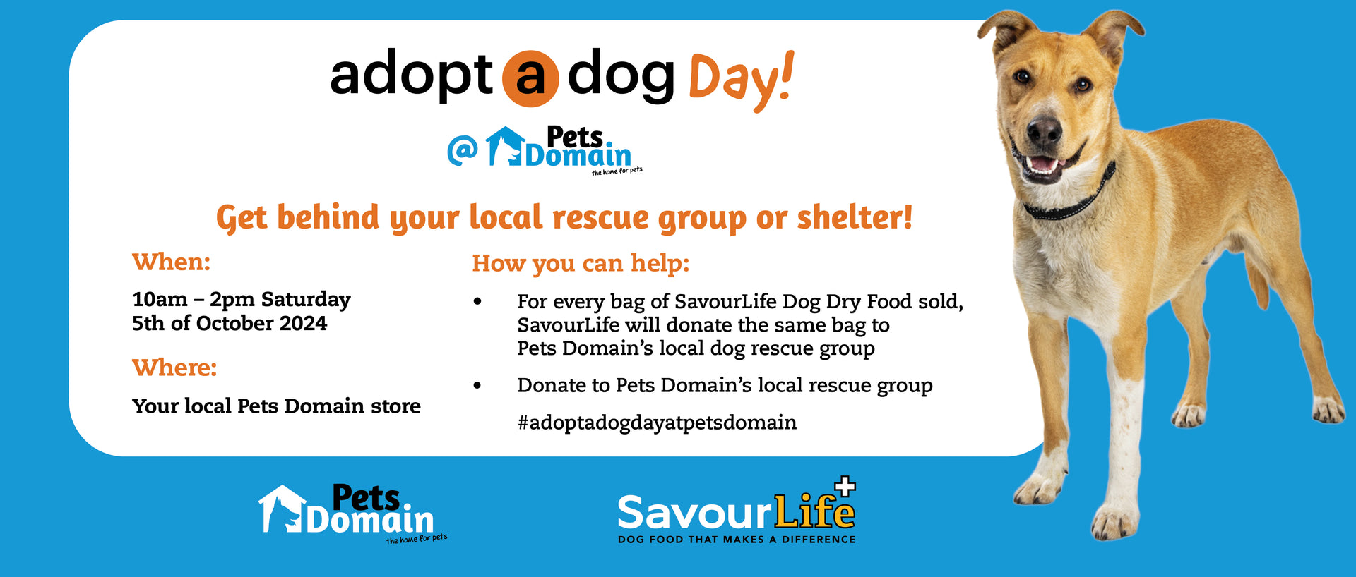 Pets Domain & SavourLife Rescue Initiative