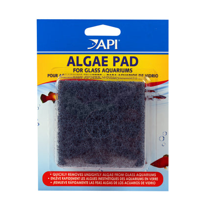 API - Hand Held Algae Pad for Glass