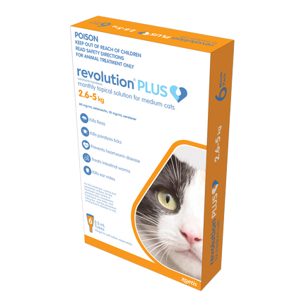 Revolution Plus - Medium Cat (6pk)