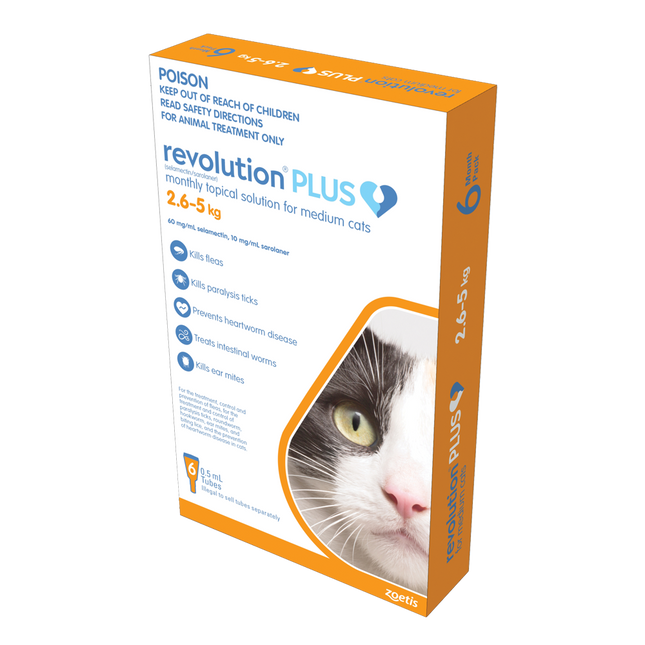 Revolution Plus - Medium Cat (6pk)