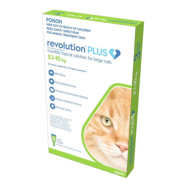 Revolution Plus - Large Cat (3pk)