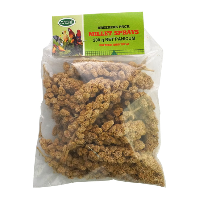 Panicum Millet Spray (200g)