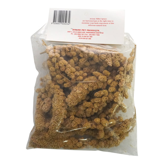Panicum Millet Spray (200g)