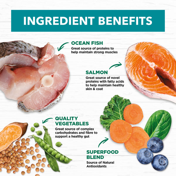 Ivory Coat Grain Free Adult Dry Dog Food Salmon & Ocean Fish (13kg) Pets Domain