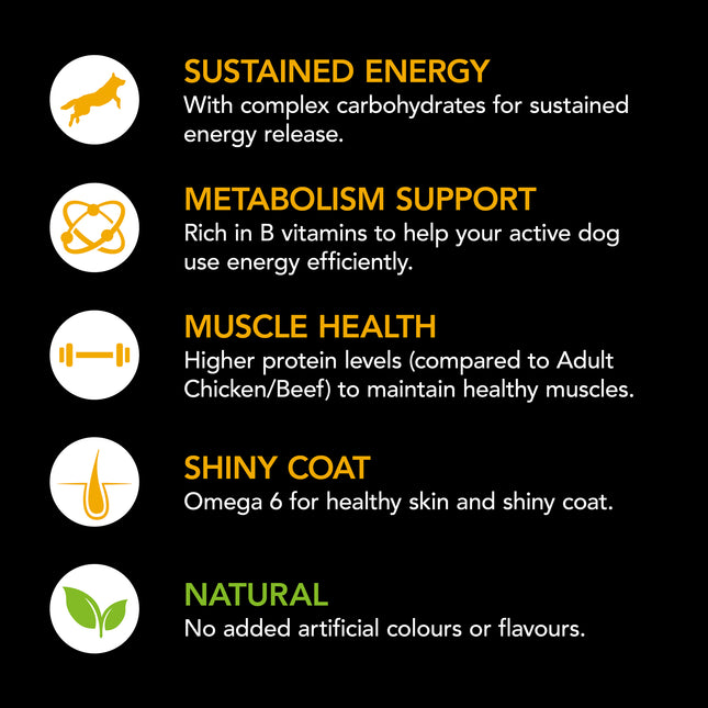 Supercoat - Active with Beef Dog Dry Food (18kg)