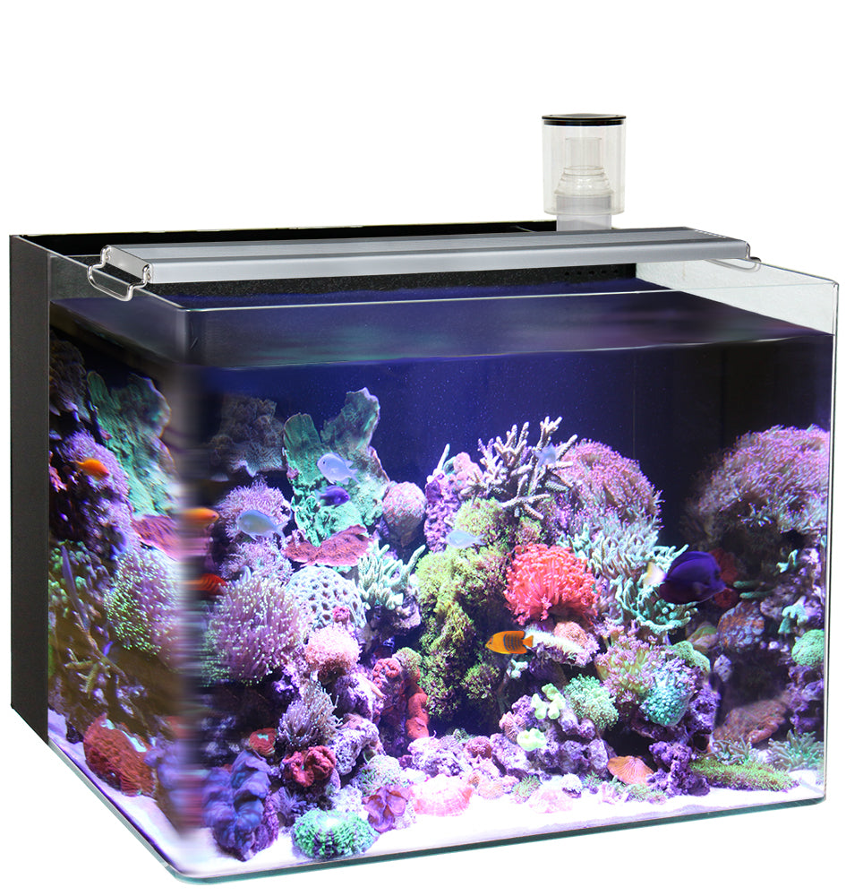Ocean Free Nano Marine Aquarium (96L) – Pets Domain