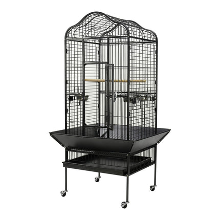 Paradise - Scallop Top Small Aviary