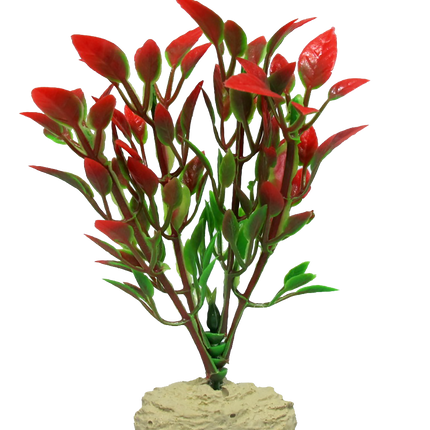 Aquamate - Betta Plants
