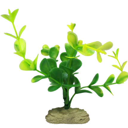 Aquamate - Betta Plants