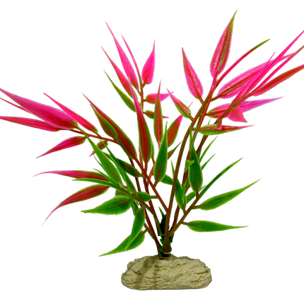 Aquamate - Betta Plants