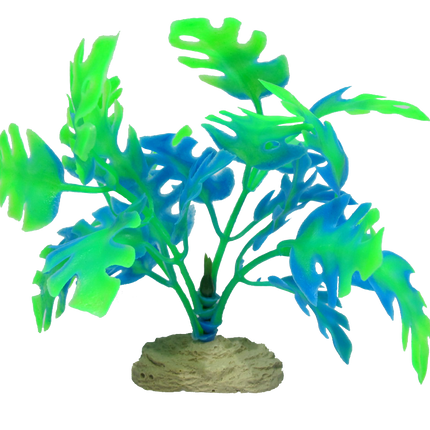 Aquamate - Betta Plants