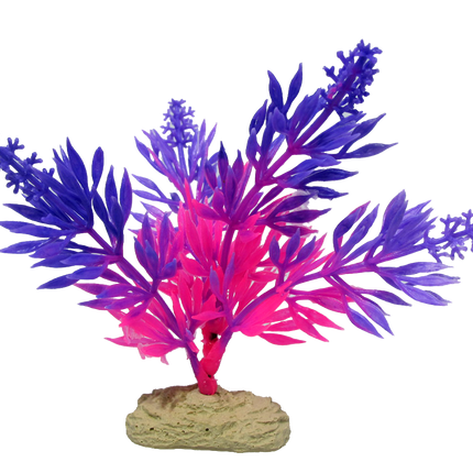 Aquamate - Betta Plants