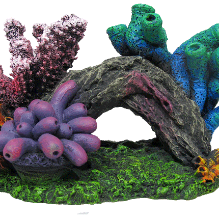 Aquamate - Corals (Short Reefs)