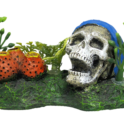 Aquamate - Betta Ornaments with Plants