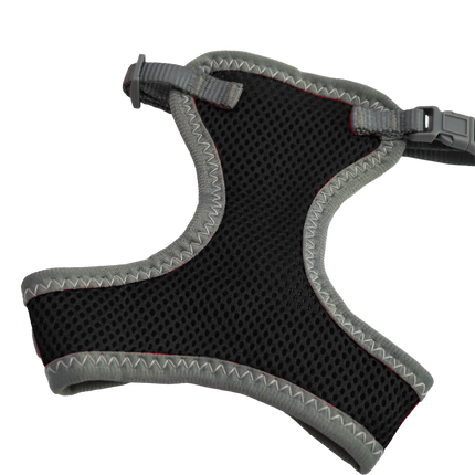 Furwear - Basic Cat Harness & Lead (Black)