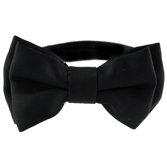 Dan & Sam - Cat Collar & Bowtie (Feeling Fancy Black)