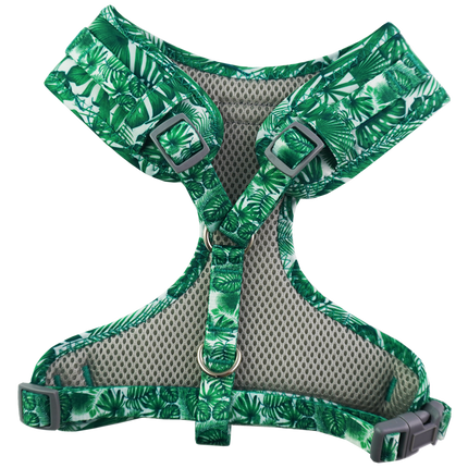 Dan & Sam - Dog Harness (Lahana)