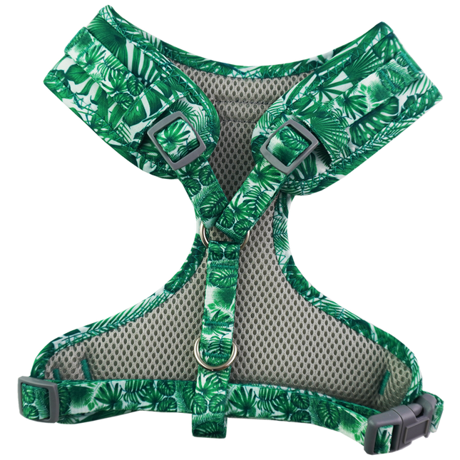 Dan & Sam - Dog Harness (Lahana)