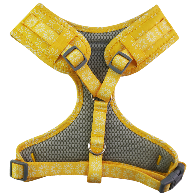 Dan & Sam - Dog Harness (Wild Sunflower)