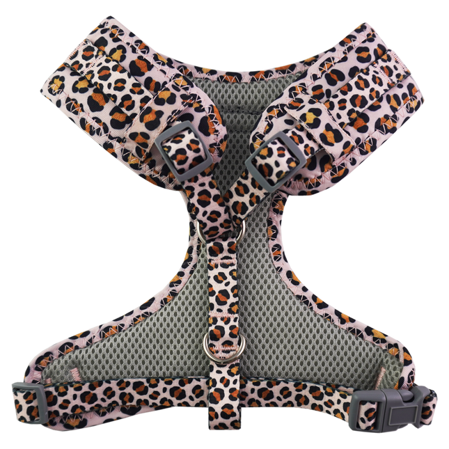 Dan & Sam - Dog Harness (Wild One)