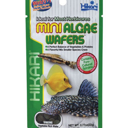 Hikari Algae Wafers - Mini (22g)