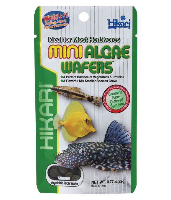 Hikari Algae Wafers - Mini (22g)