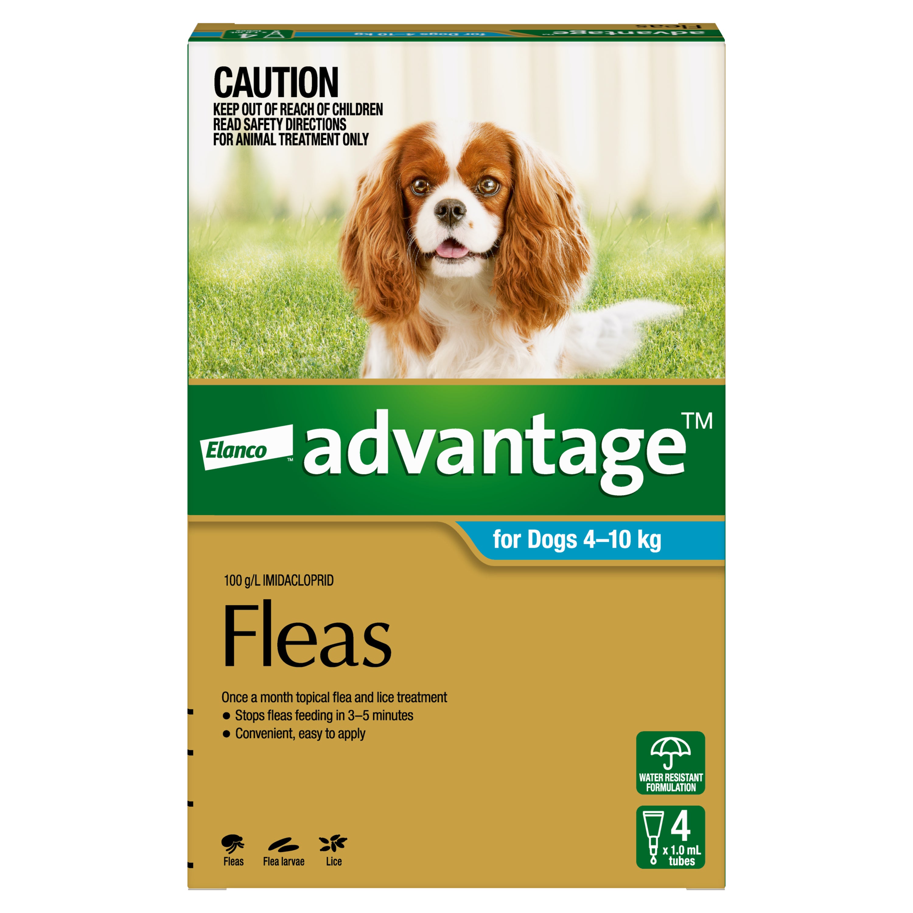 Advantage Flea Safe Flea Treatment For Pregnant Dogs Flea Medicine