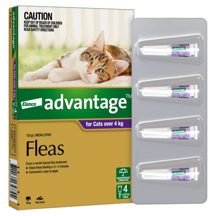 Advantage - Flea Treatment for Cats over 4kg (4pk)