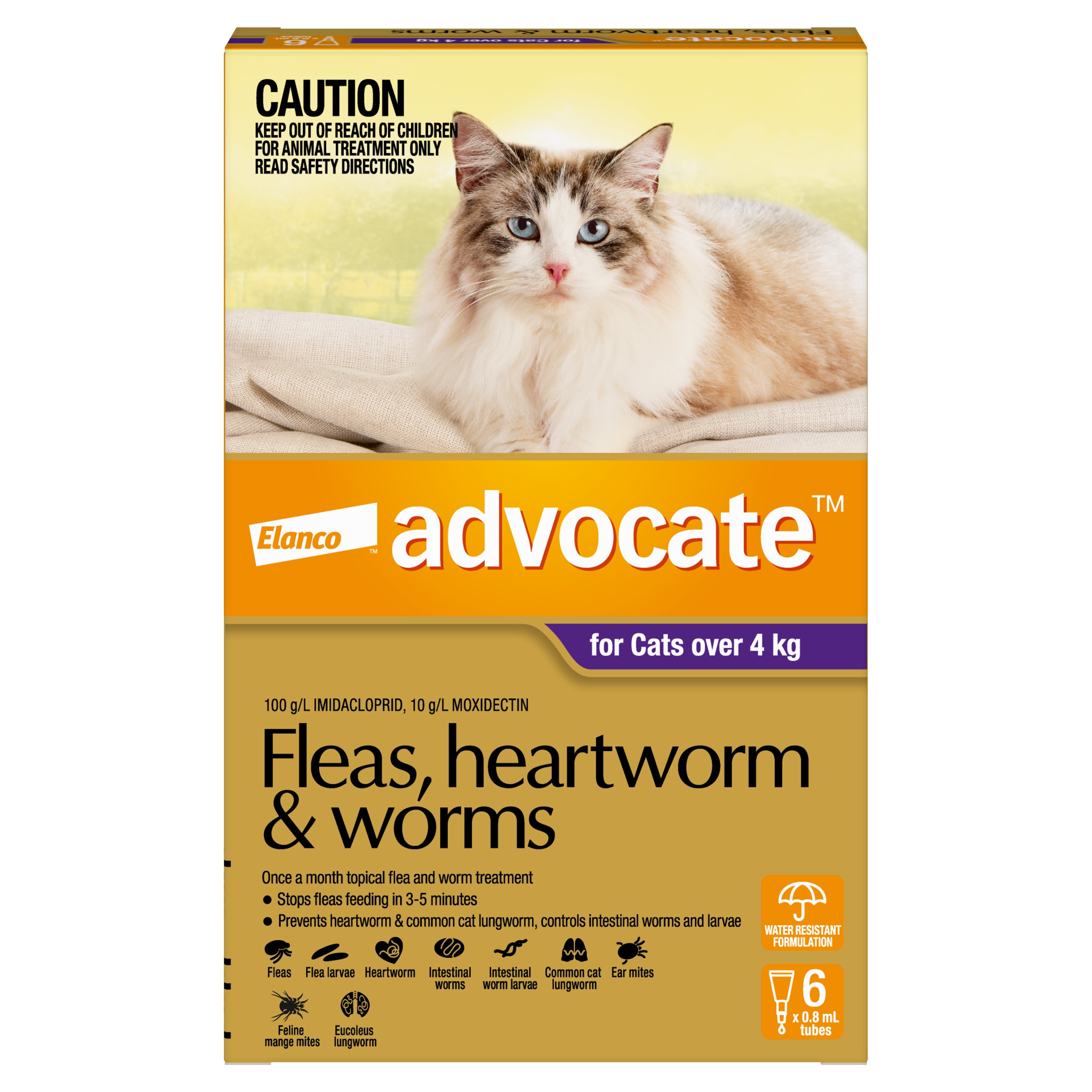 Advocate Cat over 4kg (6pk) – Pets Domain