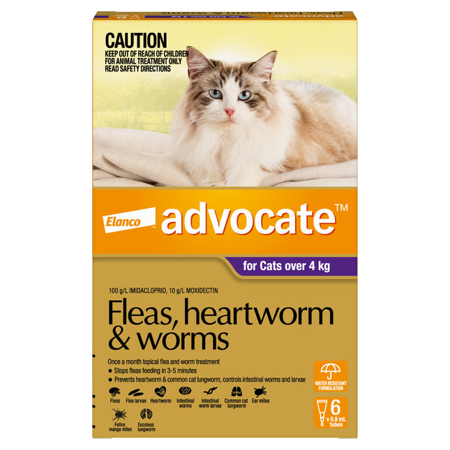 Advocate - Cat over 4kg (6pk)