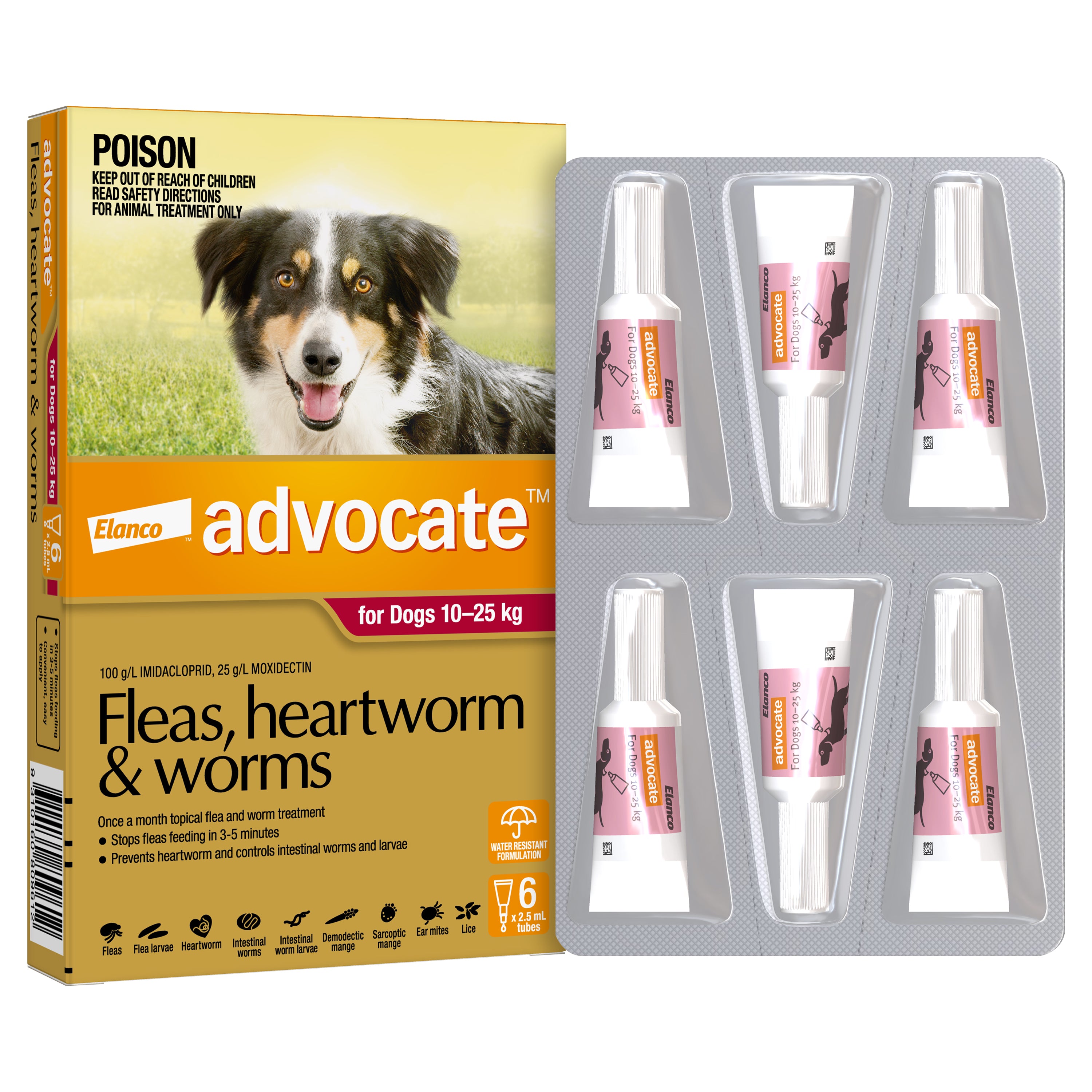 Advocate Spot On Advocate Cat Flea And Worm Treatment