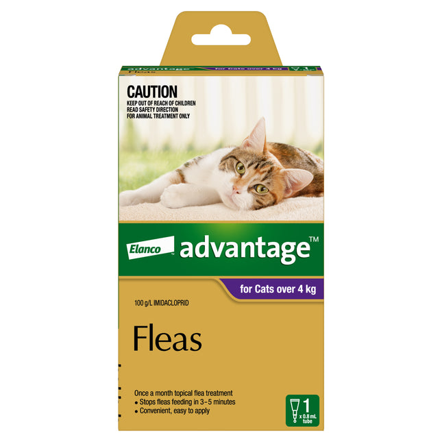 Advantage - Flea Treatment for Cats over 4kg (1pk)