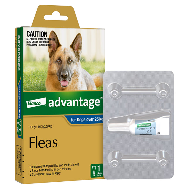 Advantage - Flea Treatment for Dogs over 25kg (1pk)