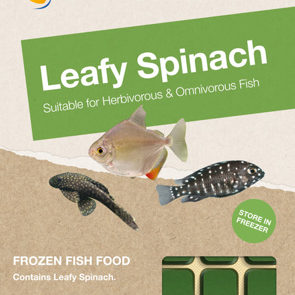 Frozen Leafy Spinach (100g)
