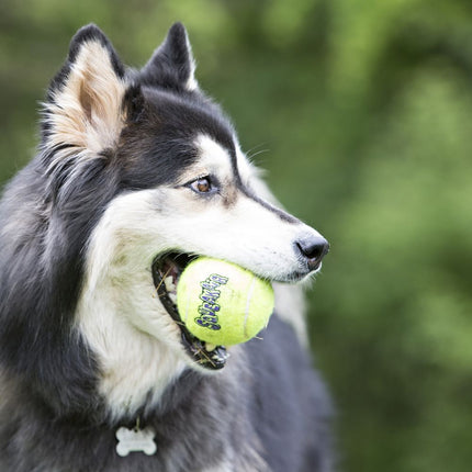 KONG - AirDog Squeaker Balls (Small)