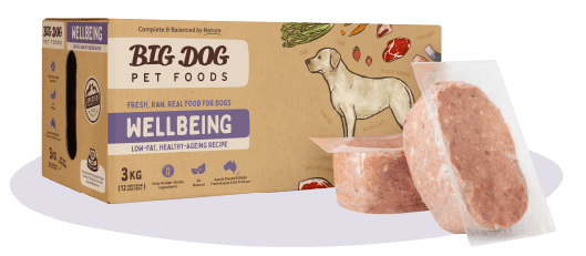 Big Dog - Wellbeing for Dogs (3kg)