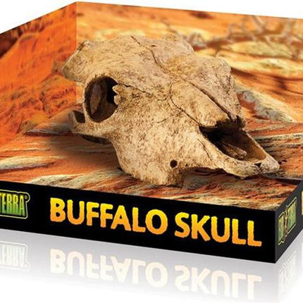 Exo Terra - Buffalo Skull