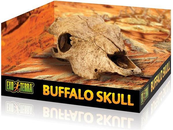 Exo Terra - Buffalo Skull