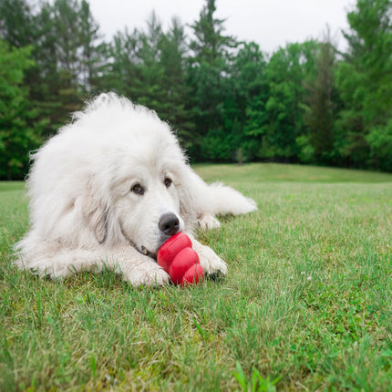KONG - Classic Dog Toy (X-Large)
