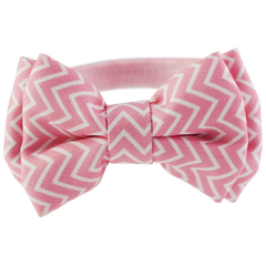 Collection image for: Cat - Collars, leads & harnesses