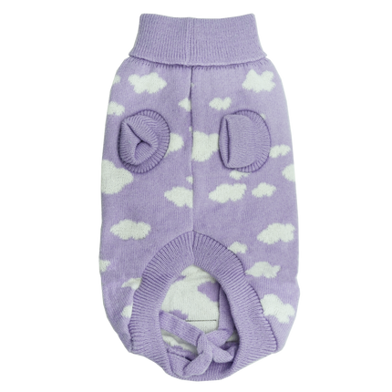 Dan & Sam - Dog Jumper (Dreamer) - 20cm