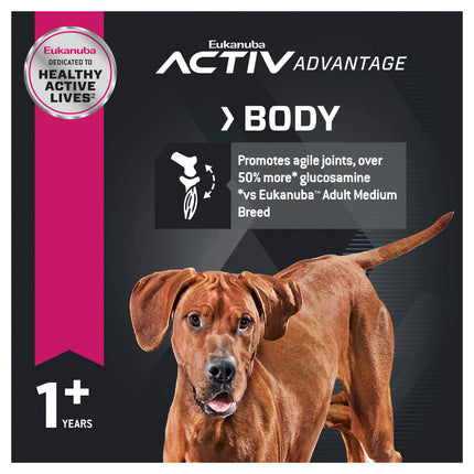 Eukanuba - Large Breed Adult Dog Dry Food (15kg)