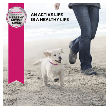 Eukanuba - Large Breed Puppy Dry Food (15kg)