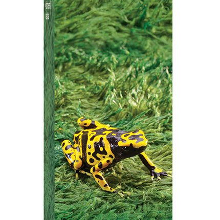 Exo Terra - Moss Mat (Small: 45 x 45cm)