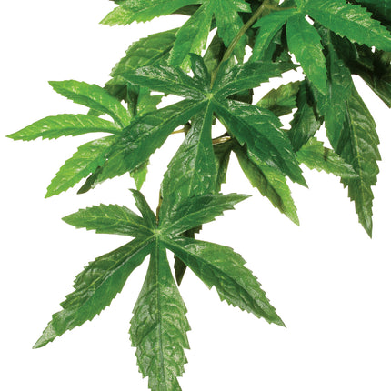 Exo Terra - Forest Plant Abuilton (Medium)