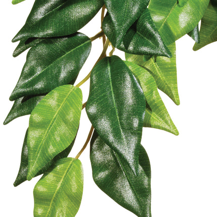 Exo Terra - Forest Ficus (Large)